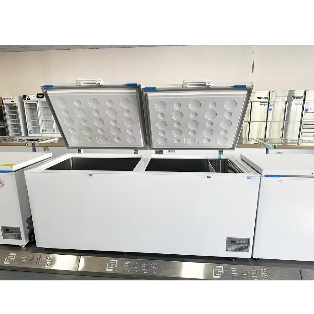 Ticari Sandık Tipi Derin Dondu - Commercial Chest Freezer incelemesi ve fiyatı