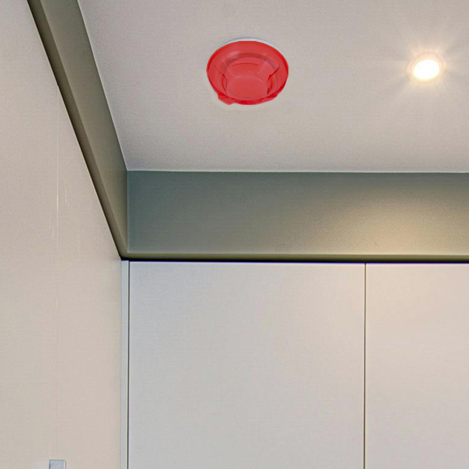 2 adet duman koruyucu kapak pl - Commercial Kitchen Paint incelemesi ve fiyatı